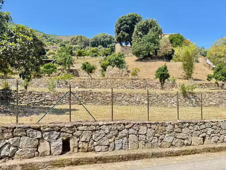 corse (20) commune d'alata : a vendre magnifique terrain à bâtir  viabilisé