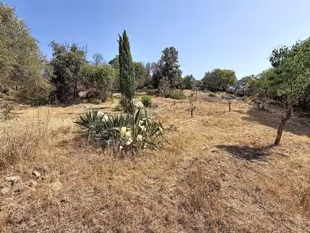 terrain agosta-molini avec 2 permis