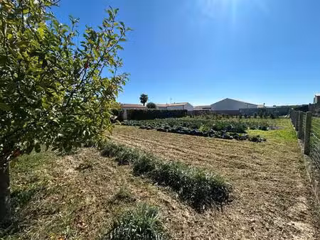 terrain de 919 m2