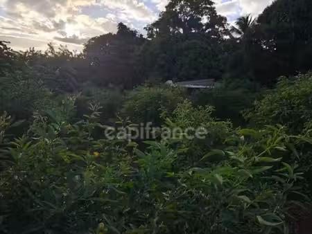 terrain à vendre baillif 1043m2 99 900€