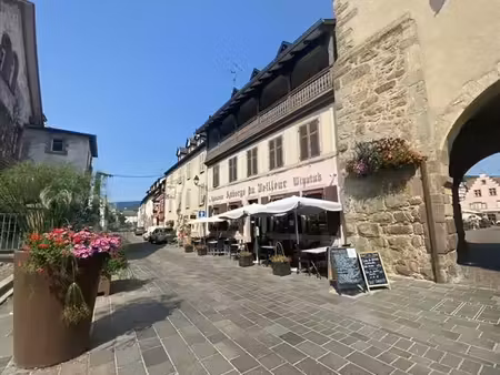 vente commerce turckheim 258 m²