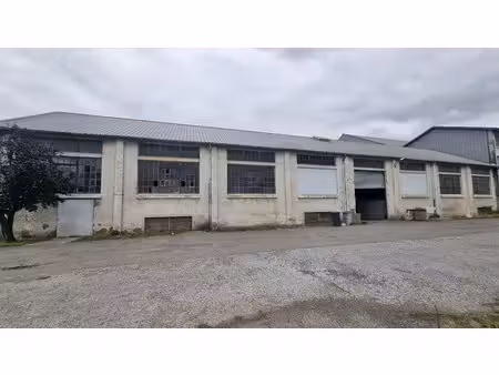 vente immeuble 0 pièces 2500 m² à tarbes (65000)  265 000 €