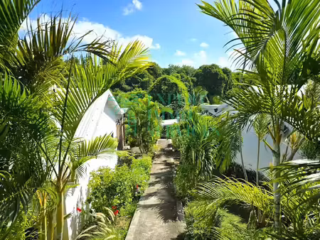 vente immeuble 5 pièces 150 m² à grand bourg (97112)  498 000 €