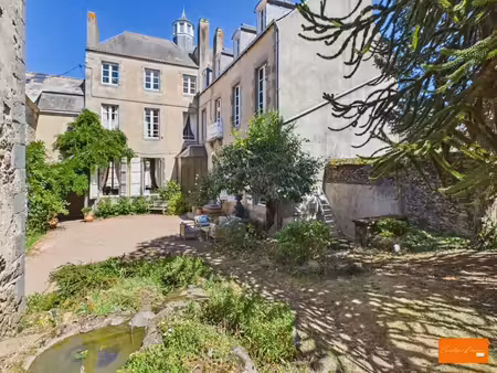 vente immeuble 0 pièces 383 m² à mayenne (53100)  635 000 €
