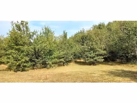 vente terrain 1025 m² à montdurausse (81630)  43 000 €