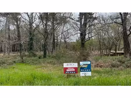 vente terrain 1000 m² à damazan (47160)  20 000 €