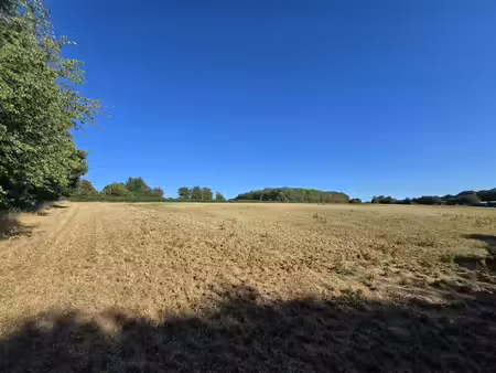 vente terrain 57843 m² à cernoy-en-berry (45360)  29 000 €