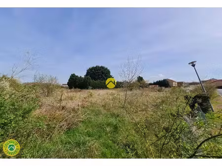 vente terrain 2993 m² à chatillon-sur-indre (36700)  34 600 €
