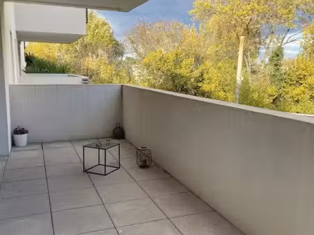 montpellier / quartier alco