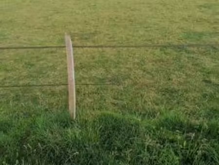 vente terrain à merlevenez (56700) : à vendre / merlevenez