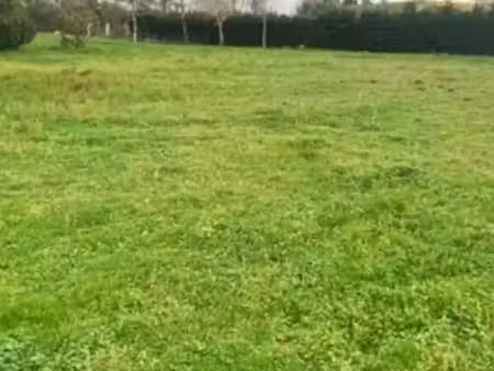 vente terrain 475 m² à saint-yzan-de-soudiac (33920)  45 000 €