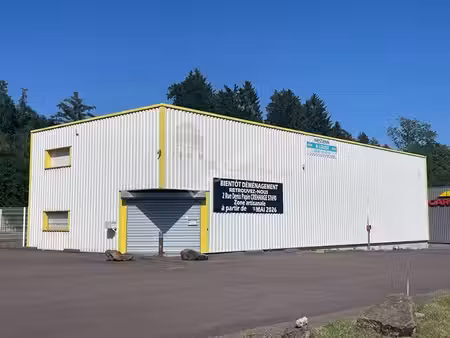 location commerce longeville-lès-saint-avold 57740 300m²