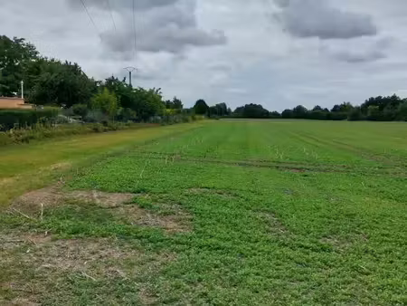 achat terrain 600m² st hilaire au temple 51400