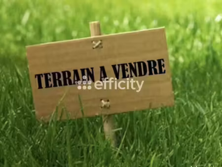 terrain - 445 m²