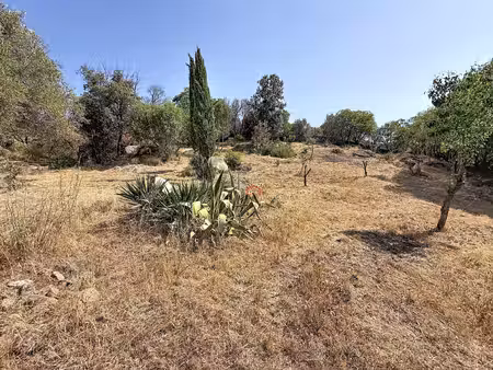terrain agosta-molini avec 2 permis