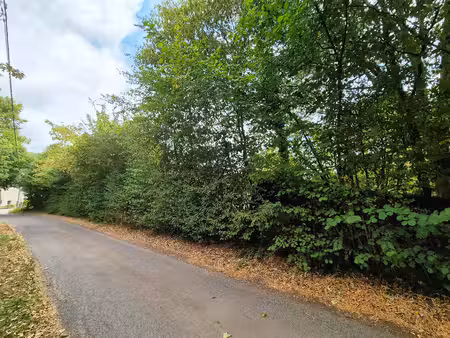 terrain à vendre à fonds de l'eau couvin (vbe54941)