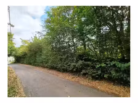 terrain à vendre à fonds de l'eau couvin (vbe54941)