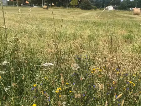 achat terrain 1 850m² st aigulin 17360