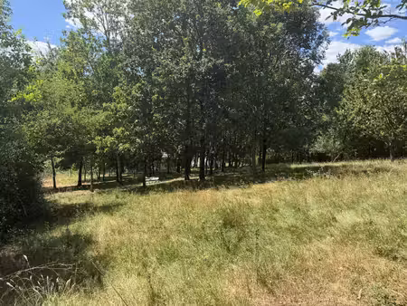 achat terrain 3 905m² vignols 19130