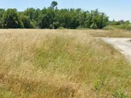 vente terrain 600 m² pugnac (33710)