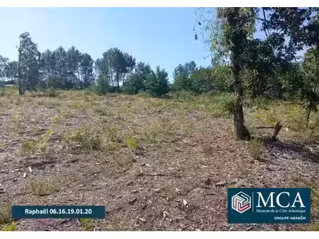 vente terrain 400 m² salles (33770)