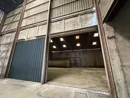 commercieel te huur in sint-baafs-vijve