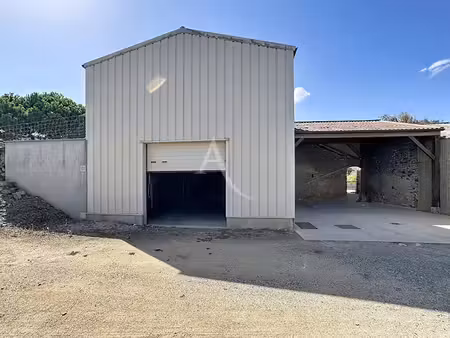 vente locaux professionnels 0 pièces 110 m² à thouarcé (49380)  114 700 €