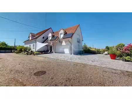 vente maison 7 pièces à rountzenheim-auenheim (67480)  676 000 €