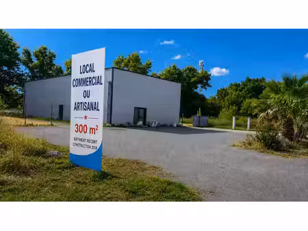 vente locaux professionnels 2 pièces 300 m² à saint-seurin-sur-l'isle (33660)  233 200 €