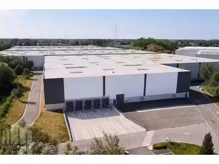 commercieel te huur in willebroek
