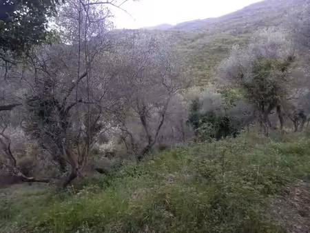 achat terrain 13 960m² sospel 06380