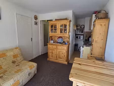 achat appartement 2 pièces 27m² pra loup 04400