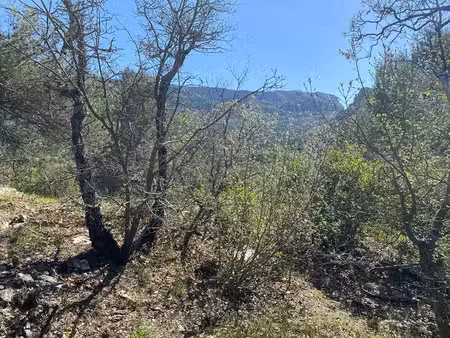 achat terrain 2 000m² plan d aups ste baume 83640