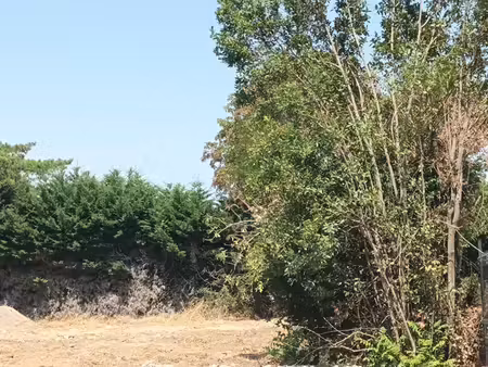 achat terrain 1 162m² nieul sur mer 17137
