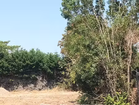 achat terrain 1 261m² nieul sur mer 17137