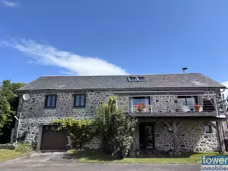 achat maison 270m² serandon 19160