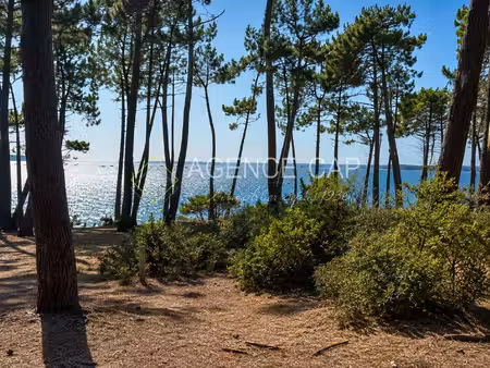 achat terrain 1 385m² arcachon 33120