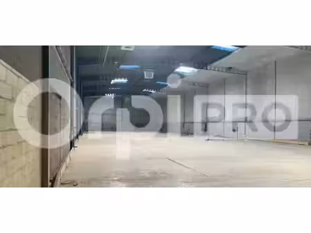 location entrepôt wissous 91320 1351m²