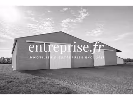 vente local d’activités montreuil bellay 49260 1250m²