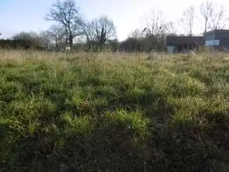 vente terrain à segré-en-anjou-bleu (49500) : à vendre / 1816m² segré-en-anjou-bleu