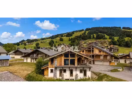 chalet avec terrasse crest-voland (73)