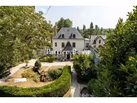 vente maison 10 pièces 900 m² à montrichard (41400)  695 000 €