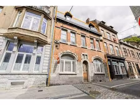 maison à rénover avec gros potentiel - vue meuse et citadell