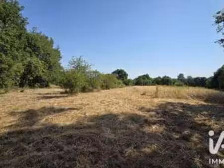 vente terrain à bélâbre (36370) : à vendre / 14347m² bélâbre