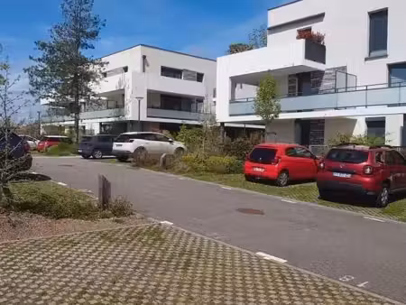 appartement t4 rez de jardin floirac