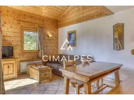 cimalpes les saisies
