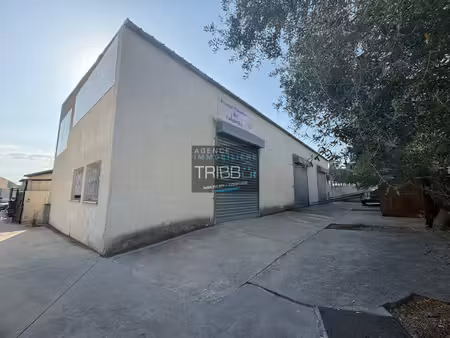 local commercial - zone industrielle canohes