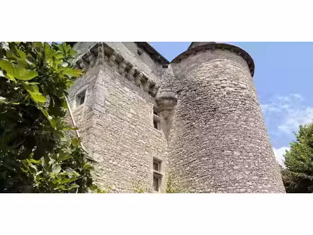 maison avec piscine ambeyrac (12)