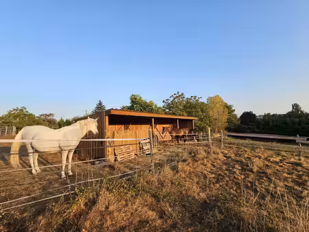 propriété équestre de 5 hectares  entièrement clos  maison de plain pied 210m² annexe 130m