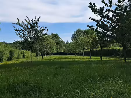 terrain constructible